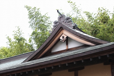 �����_��3